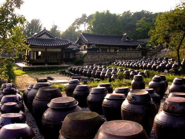 Kimchi Ferments in Korea