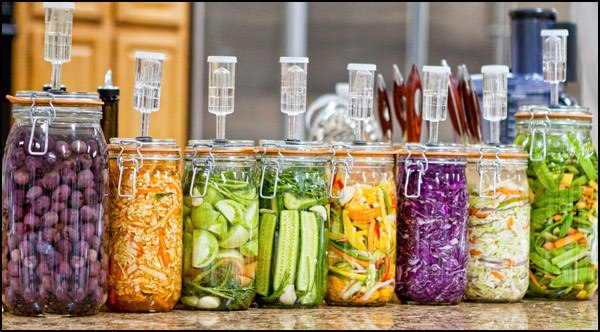 Fermentation Jars