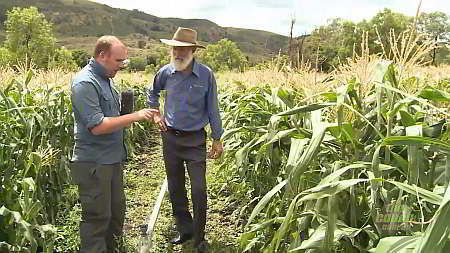 Organic Farms