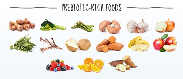 prebiotics